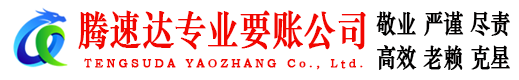 盐田收债公司